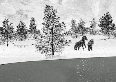 2018 UCLA Film 24 Frames