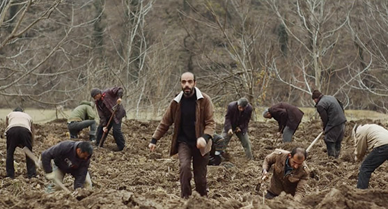 2019 UCLA Film - Turquoise