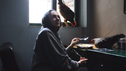 2022 UCLA Film - The Locust