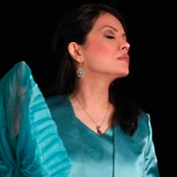 Shayandokht Abedinimanesh