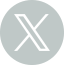 twitter icon