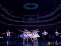 The White Feather 025