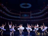 The White Feather 026