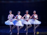 The White Feather 029