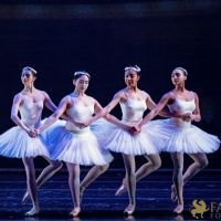 The White Feather 029