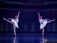 The White Feather 031