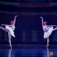 The White Feather 031