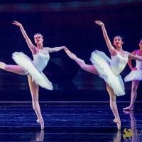 The White Feather 032