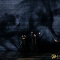 The White Feather 047