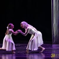 The White Feather 055