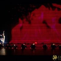 The White Feather 078