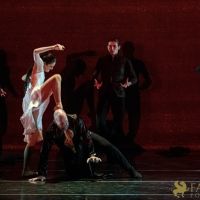 The White Feather 087