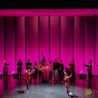 Conference of The Birds   050