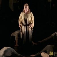 Conference of The Birds   062