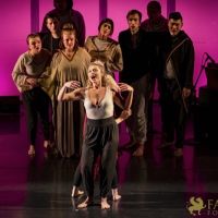 Conference of The Birds   096