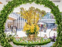15 Haft Sin Century City 2024