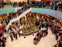 073 Nowruz   Shahram Nazeri