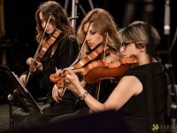 079 Roudaki Orchestra