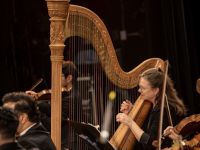 091 Roudaki Orchestra