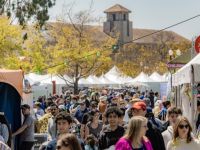 87 Iran Through Books 2024