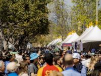 142 Iran Through Books 2024