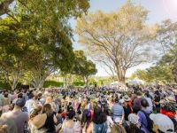 41  FESTIVAL BEVERLY HILLS   2024