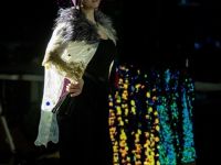 37 SONG OF THE NORTH