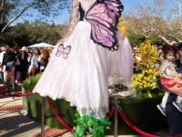 20  15th Annual Celebration of Nowruz at UCLA