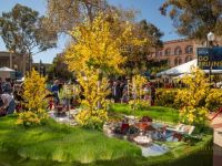 52  15th Annual Celebration of Nowruz at UCLA