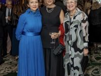 142  14th Annual Farhang Foundation Fundraising Gala