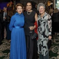 142  14th Annual Farhang Foundation Fundraising Gala