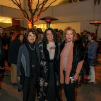 2018 ucla celebration of iranian cinema 057