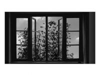 2018 ucla celebration of iranian cinema 092