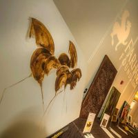 farhangs 6th annual fundraising gala 037