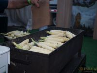 the la freedom festival july 4 2017 110