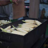 the la freedom festival july 4 2017 110