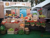 the la freedom festival july 4 2017 118