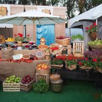 the la freedom festival july 4 2017 118