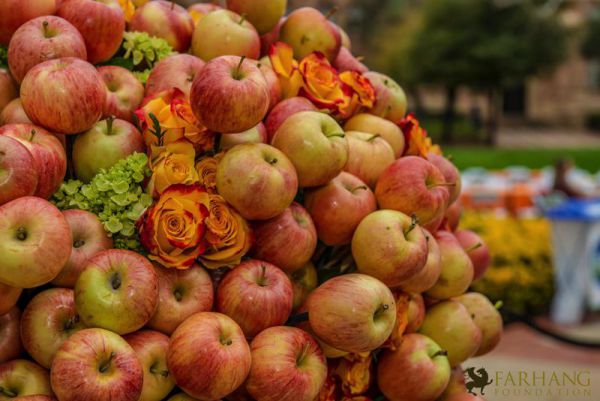 nowruz ucla 2018 038