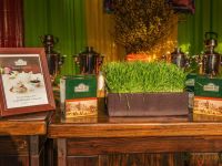 nowruz ucla 2018 275