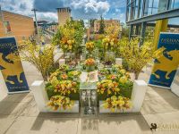 nowruz celebrations orange county 2017 003