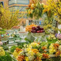 nowruz celebrations orange county 2017 019