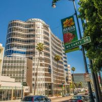 nowruz in beverly hills 017