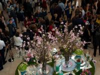 Farhang s Nowruz at the Pacific Symphony 104