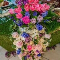 Farhang s Nowruz at the Pacific Symphony 107