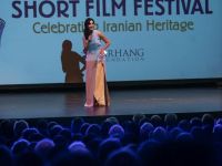 The 11th Farhang Film Fest Awards   Afterparty14