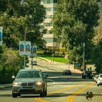 Nowruz 2021 street banners 24
