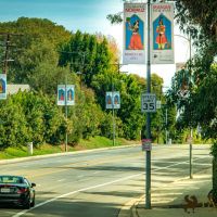 Nowruz 2021 street banners 25